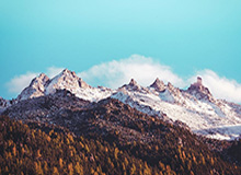 kaiyun-世界杯决赛阿根廷球员评分 梅西马丁内斯皆满分