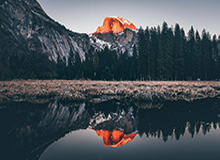 乐鱼：把海的鲜活带回家，开启健康美味的日常